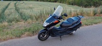 Honda FES 250