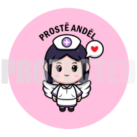 Ošetřovatelka, Pečovatelka, Pomocnice, Pani domácí