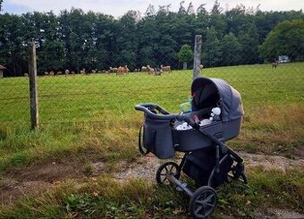 Roan Bass Next - Steel Grey