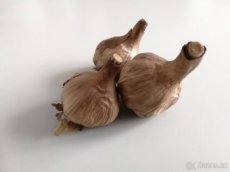 Černý česnek prodej přebytku