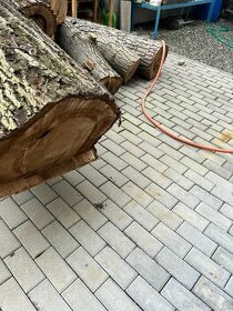 Ořechové dřevo