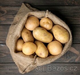 Bio konzumní brambory