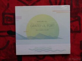 What are you greateful for? Tales for  steeldrum  by Ejali