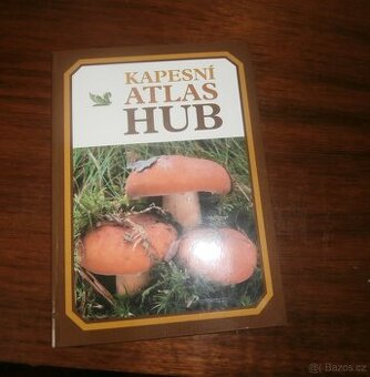 ATLAS HUB KAPESNÍ