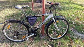 Horské kolo Kellys radius