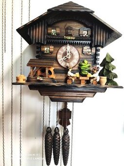 Hezke,  kukacky, Schwarzwald,hraci