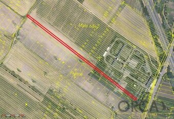 0,3 ha pozemků v k.ú. Lanžhot - 1
