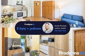 Prodej bytu se 3 jednotkami, 122 m2 - Znojmo, Palackého