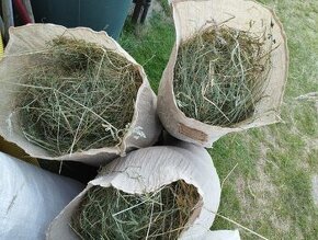 Seno, ručně sušené, pytlované