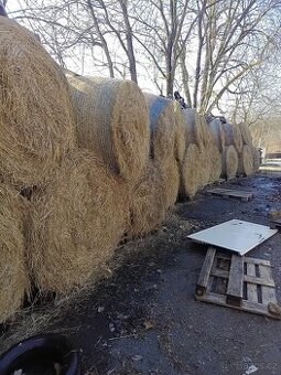 Seno velké balíky 140 cm