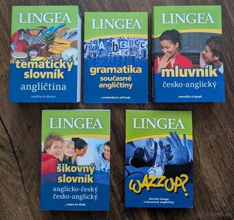 Lingea učebnice a slovníky angličtiny