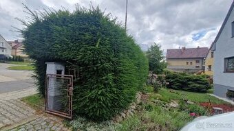 Údržba zeleně
