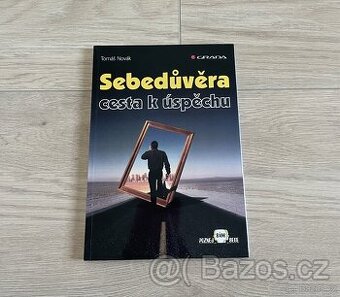 Sebedůvěra - cesta k úspěchu - Tomáš Novák
