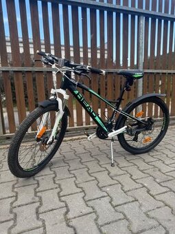 Dětské kolo HEAD Ridott 24”