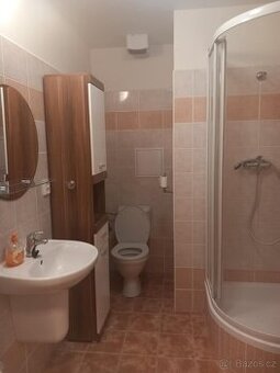 ČB: Pronájem mezonetového bytu 2+1, 87,8 m²