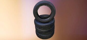 185/60/15 88T XL Dunlop - zimní pneumatiky - poslání