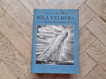 Bílá verlyba : Herman Melville