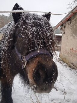 Pony valášci