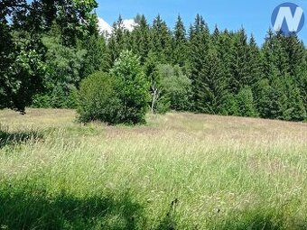 Černá Lada, pozemek s výměrou 22.888 m2