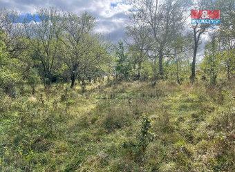 Prodej zahrady, 5897 m², Lešany - 1