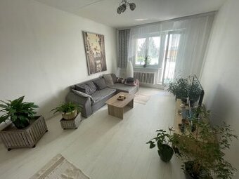 Pronájem bytu 2+1 55m BEZ realitky