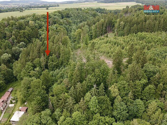 Prodej lesa, 2745 m², Ústí nad Orlicí