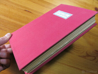 Kniha Auto dobývá světa