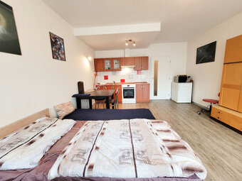 Pronájem bytu 1+kk 30 m2