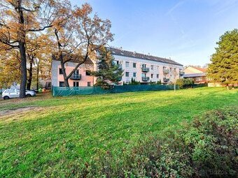 Pronájem prostorného podkrovního bytu atelierového typu