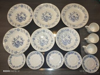 Porcelánové talíře -CIBULOVY VZOR