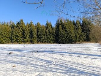 Prodej, pozemek 1.000 m², Křižánky - 1