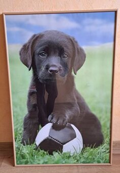 velký rám s fotografií 62 x 93 cm