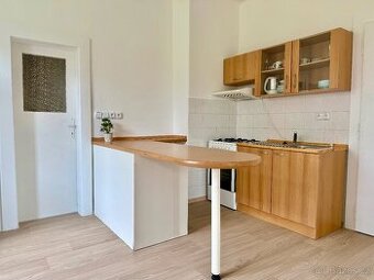 Dlouhodobý pronájem prostorného 1+1, 65 m2, zahrádka, cihla