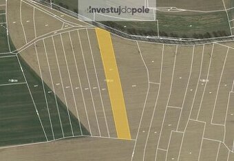 Prodej podílu 1/2 pole 2 918 m², Hořice, ev.č. 2025-07-29-8