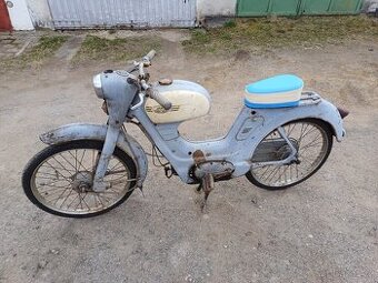 Jawetta 551 - Sport