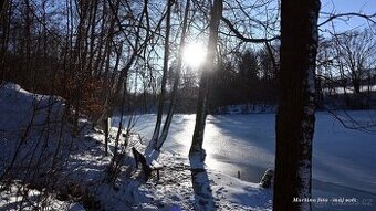 Nikon Z50 + 16-50 mm a další