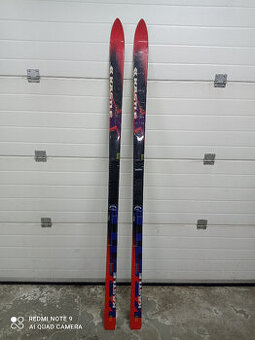 sjezdové lyže KÁSTLE TCX 03, délka 193 cm