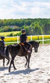 Spolehlivá klisna New Forest Pony