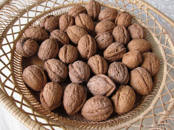 Prodám neloupané vlašské ořechy