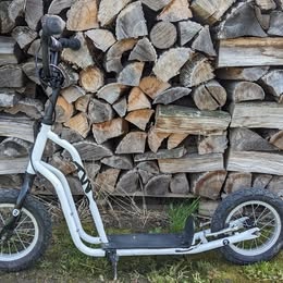 Koloběžka Yedoo Two