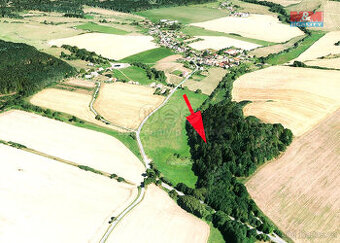 Prodej lesa, louky a vodní plochy, 8352 m², Sedliště