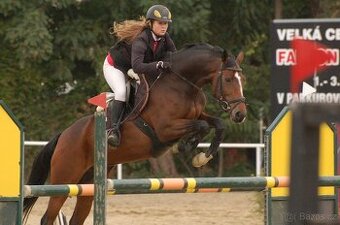 Klisna CANDILLO'S LADY