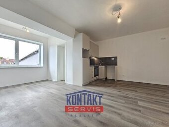 Pronájem nově rekonstruovaného bytu 3+kk, 53 m2 - České Budě
