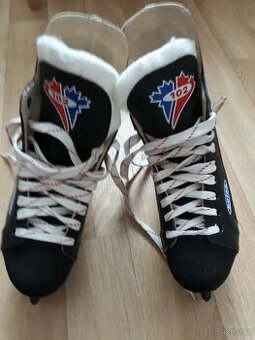 Lední brusle chlapecké velikost na štítku 25 cm EU 38