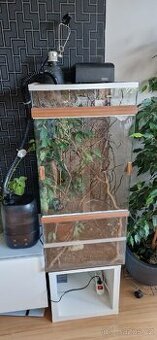 Terarium pro chov chameleona