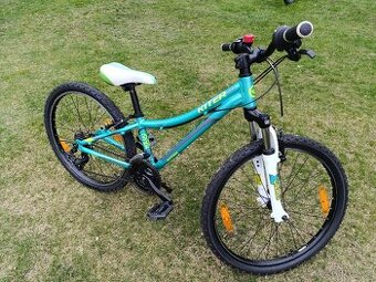 Kellys Kitter 50 24"