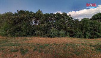 Prodej lesa, 1393 m², Lipová-Hrochov - 1