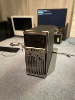 Server HP ProLiant ML310e Gen8 v2 - 1
