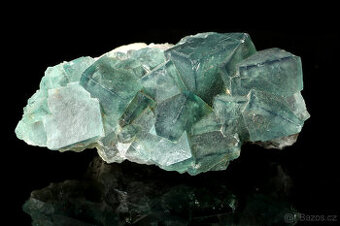 Prodej sbírky minerálů a fosílií