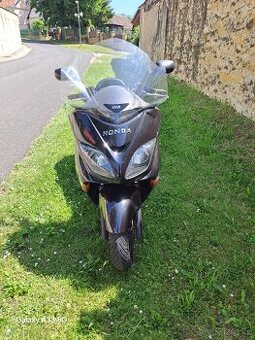 Honda Forza 250 - 1